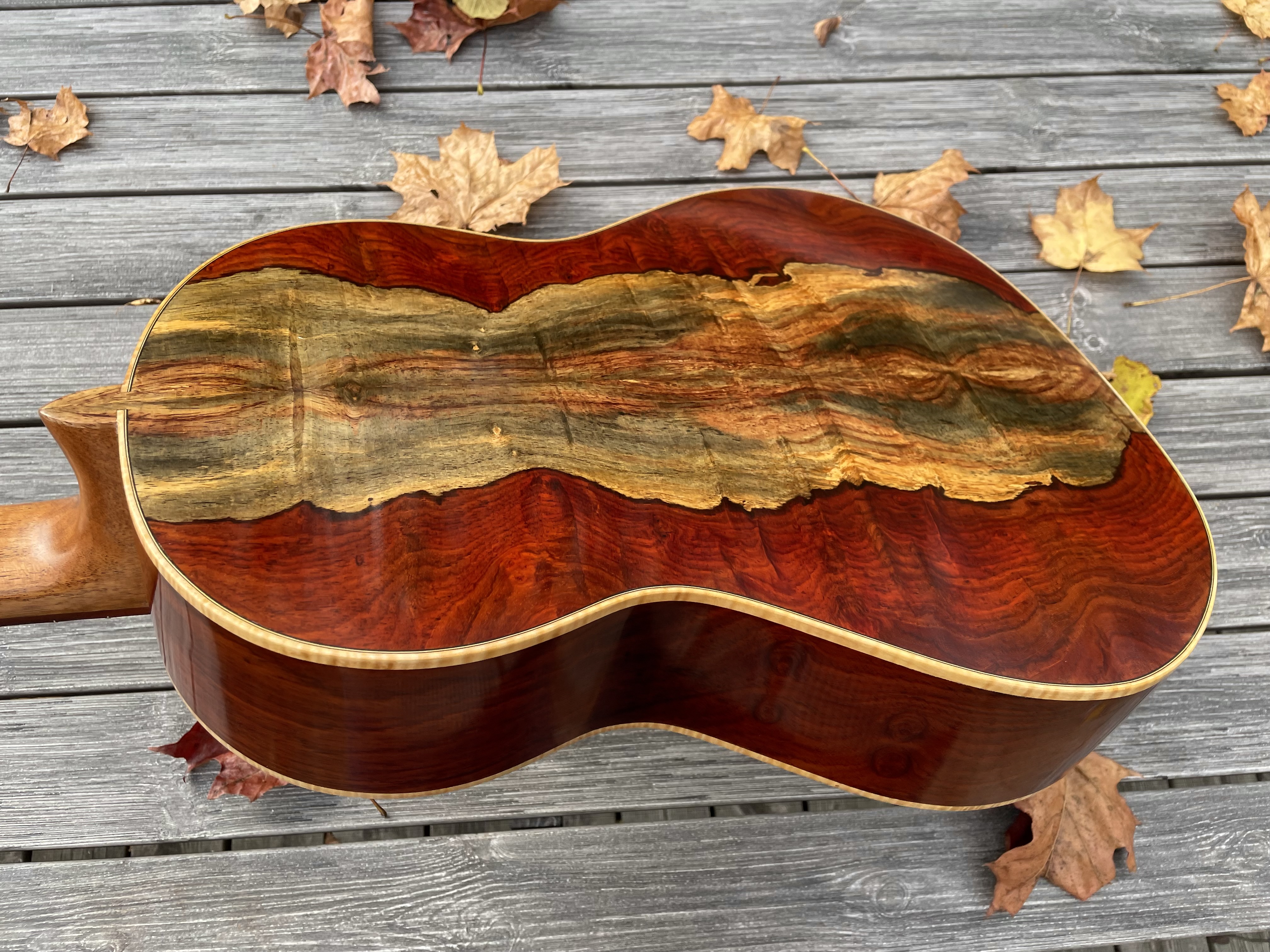 Coco - Cocobolo